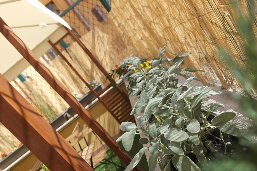 Candia Green House B&B Rome Bagian luar foto